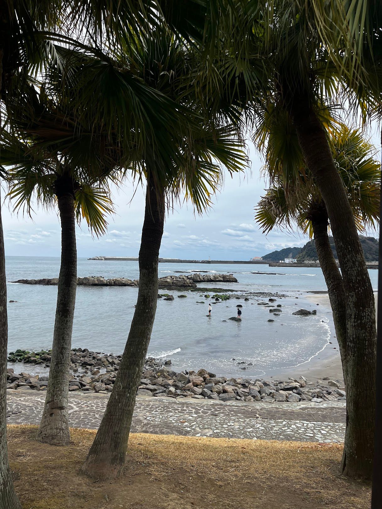 A shrine on Miyazaki's Aoshima Island